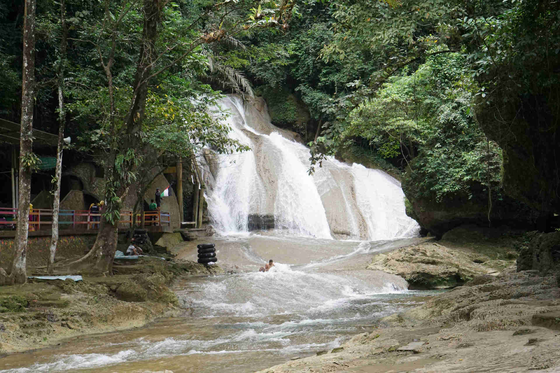 Bagus Indonesia (Bantimurung) 1