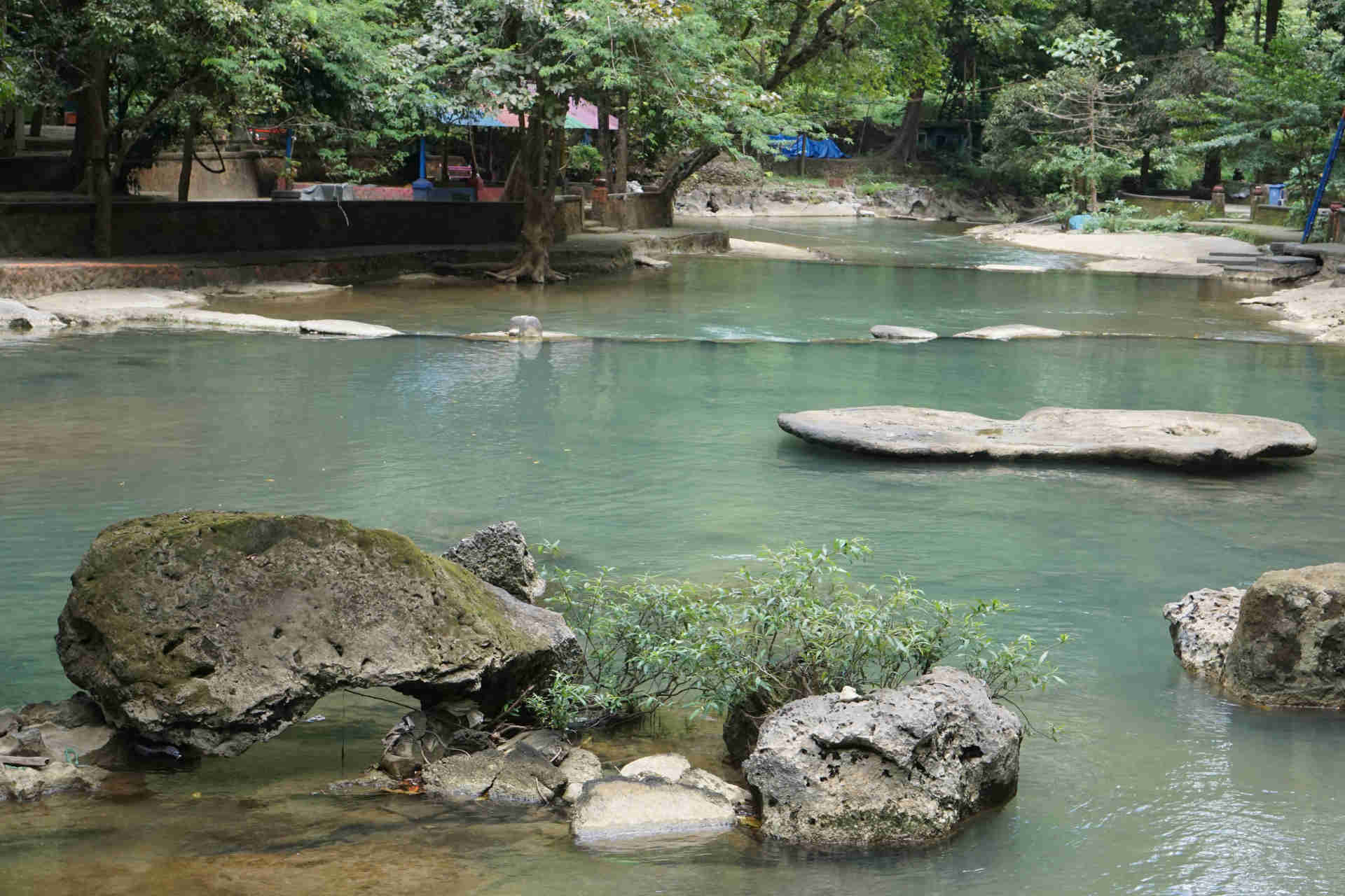 Bagus Indonesia (Bantimurung) 2